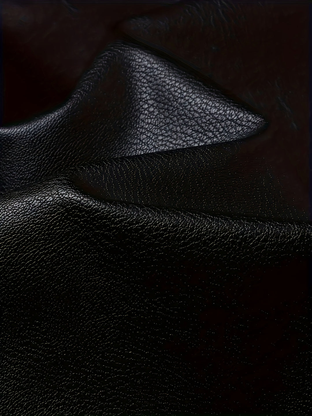 Hudson | Classic Stand-Collar Jacket