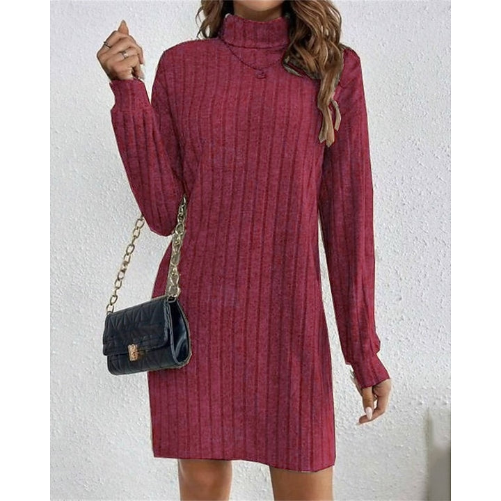 Bianca | Ribbed High-Neck Sweater Dress