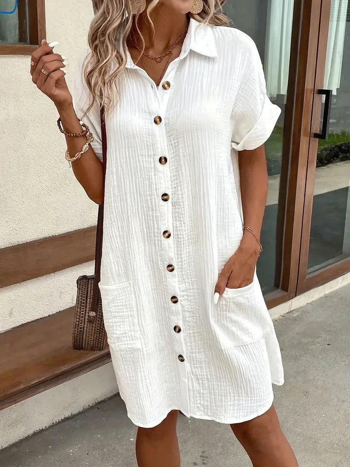 Genevra | Timeless V-Neck Blouse Dress