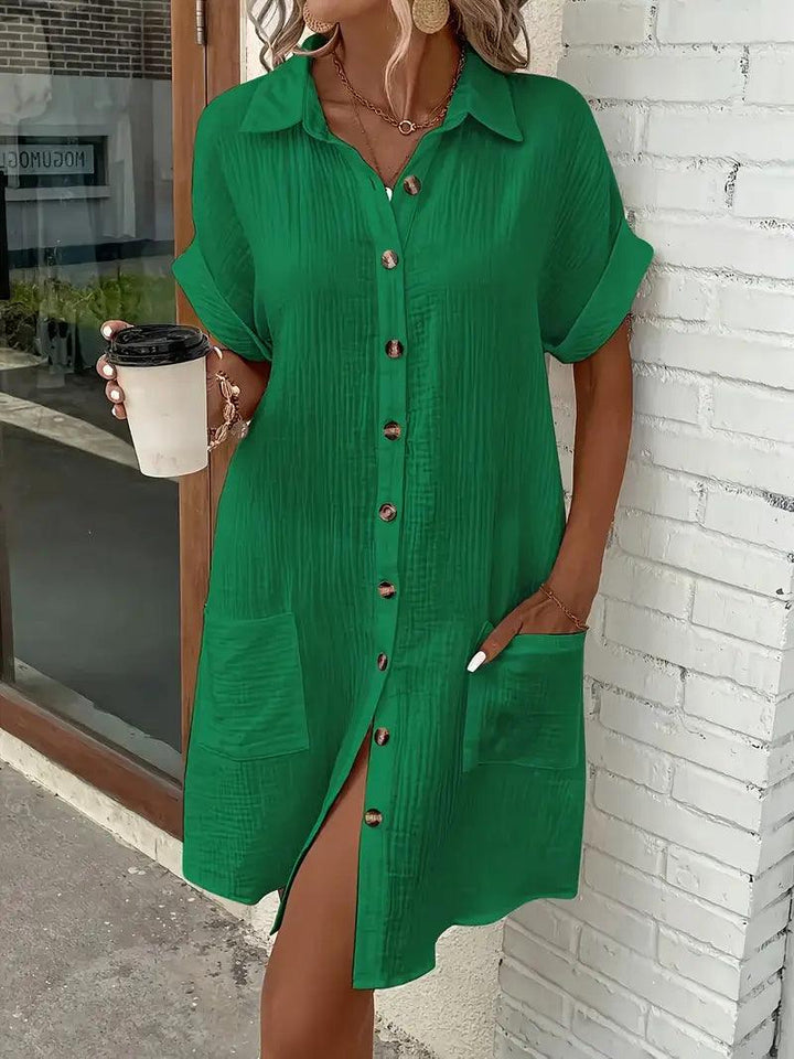 Genevra | Timeless V-Neck Blouse Dress