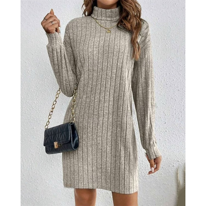 Bianca | Ribbed High-Neck Sweater Dress